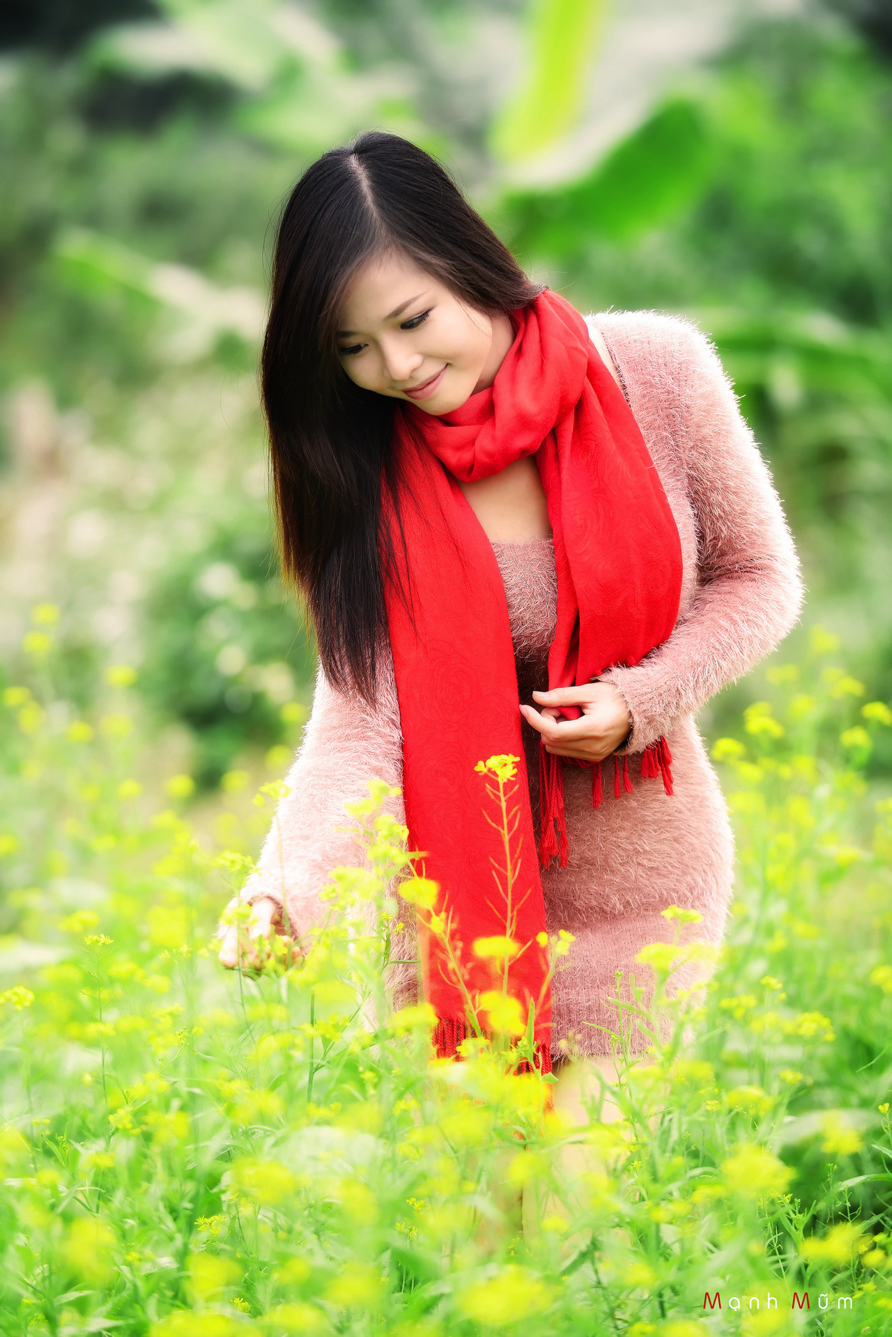 flower